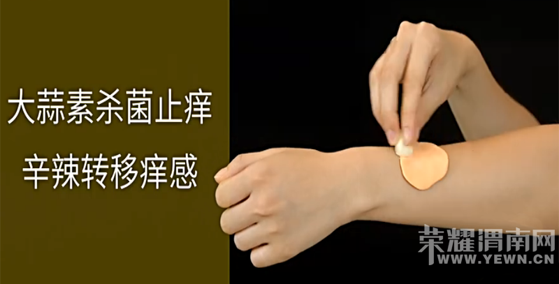  �ļ��������Ӱ���7�н������ֹ�����Ӱ���six god��Ҫ�ʰ��·磡