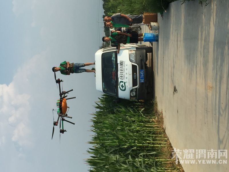 ֲ�����˻�ʩҩ