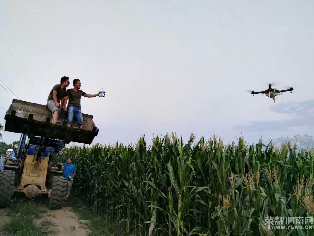 ���˻�������