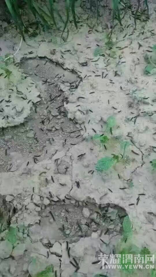 ����ͷ�ĳ���