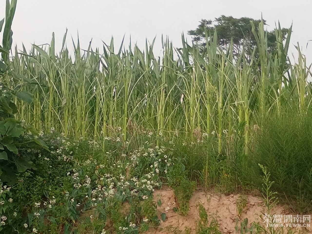 �������صȵ�����ճ��󱩷�