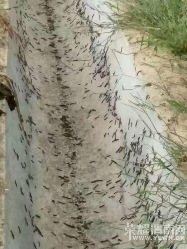 �������صȵ�����ճ��󱩷�