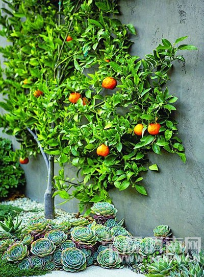 ����Ҳ�ܰ�����~������������ֻ�����벻����ǰ������Ԥ����