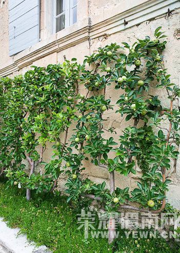 ����Ҳ�ܰ�����~������������ֻ�����벻����ǰ������Ԥ����