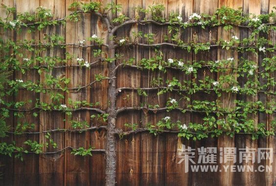 ����Ҳ�ܰ�����~������������ֻ�����벻����ǰ������Ԥ����