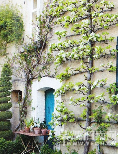 ����Ҳ�ܰ�����~������������ֻ�����벻����ǰ������Ԥ����