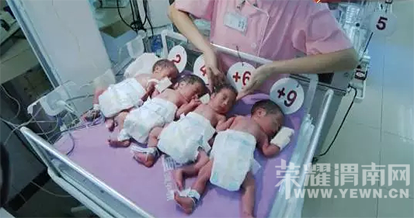 �й������̥�����İ�̥�����α���60�OС�ݡ�