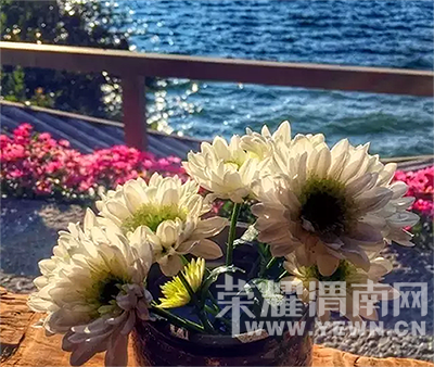 ����Ƽ������̫�����������㣬�а������������������ף�