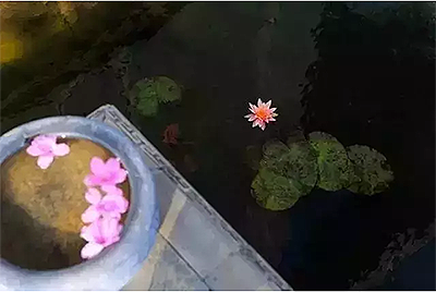 ����Ƽ������̫�����������㣬�а������������������ף�