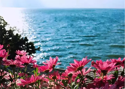 ����Ƽ������̫�����������㣬�а������������������ף�