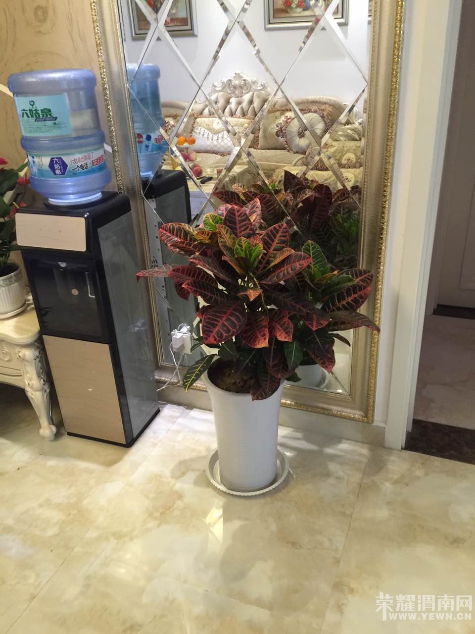 ����������ô�����Ҽҵĵع�һ���Ӿ͸����Ҫ������ôŪ