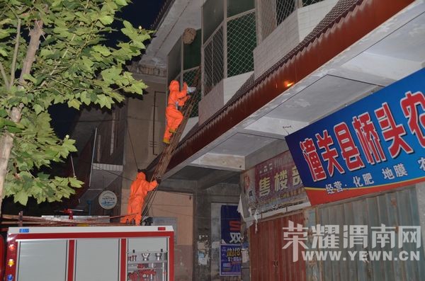 人头蜂窝困扰潼关一居民  渭南消防官兵出手解围 人头蜂窝困扰潼关一居民  渭南消防官兵出手解围