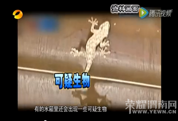 μ��ס�߲�Ķ�ע���ˣ�˭����������ÿ���ˮ������������