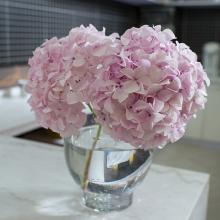 ����վ�а����������߶�������һ�����°�~