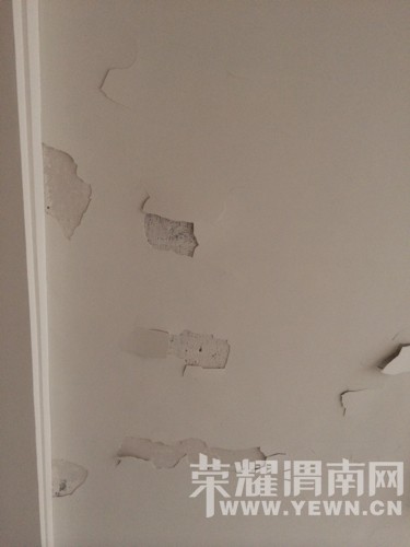 װ����ǽƤ�����������⵽����ʲôԭ��