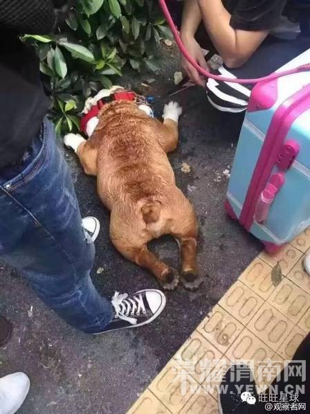 ����չ�ų��� ���ں������ù��Ƚ�����ͼ��