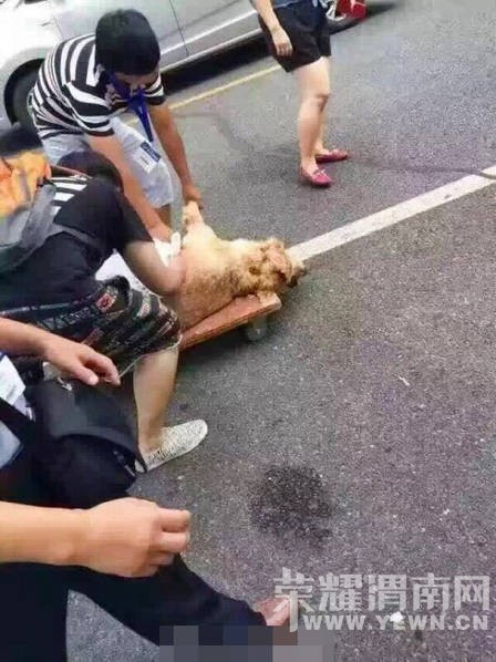 ����չ�ų��� ���ں������ù��Ƚ�����ͼ��