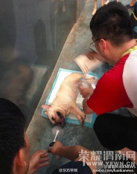 ����չ�ų��� ���ں������ù��Ƚ�����ͼ��