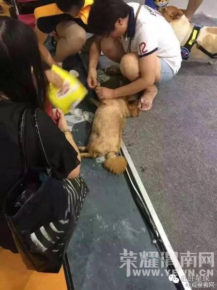 ����չ�ų��� ���ں������ù��Ƚ�����ͼ��