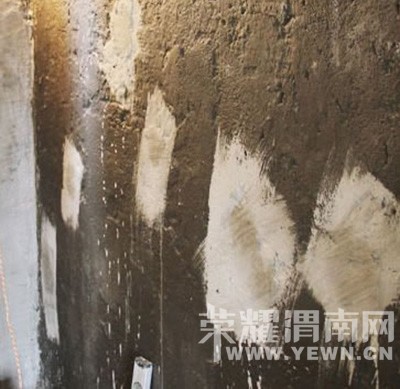 ��ǽ��������ЩƲ�����������ܼ���һ��