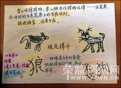 ��ѧǰ����λ���������ﺢ�����ɺ�ϰ�� | ��ѧ��