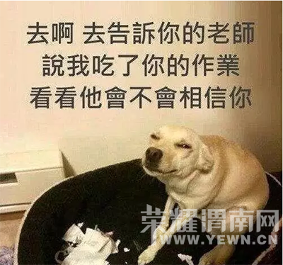 ���Ǹо����屻�Ϳգ�����Ҫһ��1m2�������Ķ��ǣ�