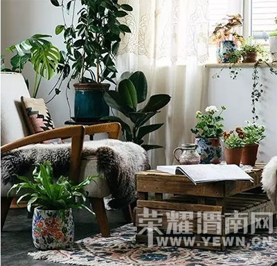 ���Ǹо����屻�Ϳգ�����Ҫһ��1m2�������Ķ��ǣ�