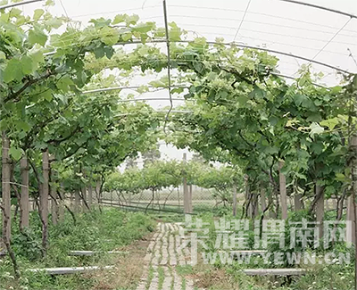 ס������԰Ҳ�ܺ�ʫ�⣬����ɽ�£����ºɳ���~