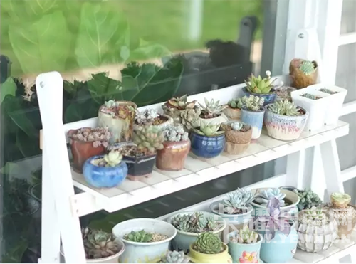 ס������԰Ҳ�ܺ�ʫ�⣬����ɽ�£����ºɳ���~