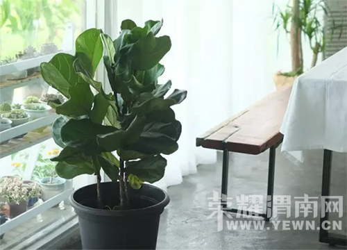 ס������԰Ҳ�ܺ�ʫ�⣬����ɽ�£����ºɳ���~