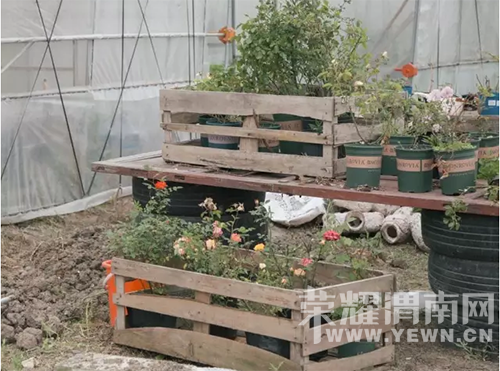 ס������԰Ҳ�ܺ�ʫ�⣬����ɽ�£����ºɳ���~