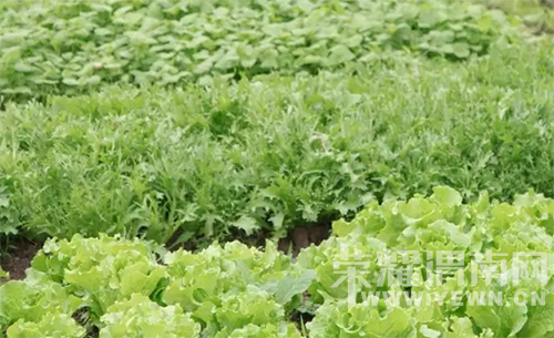 ס������԰Ҳ�ܺ�ʫ�⣬����ɽ�£����ºɳ���~