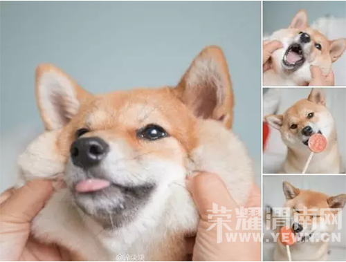 ס������԰Ҳ�ܺ�ʫ�⣬����ɽ�£����ºɳ���~