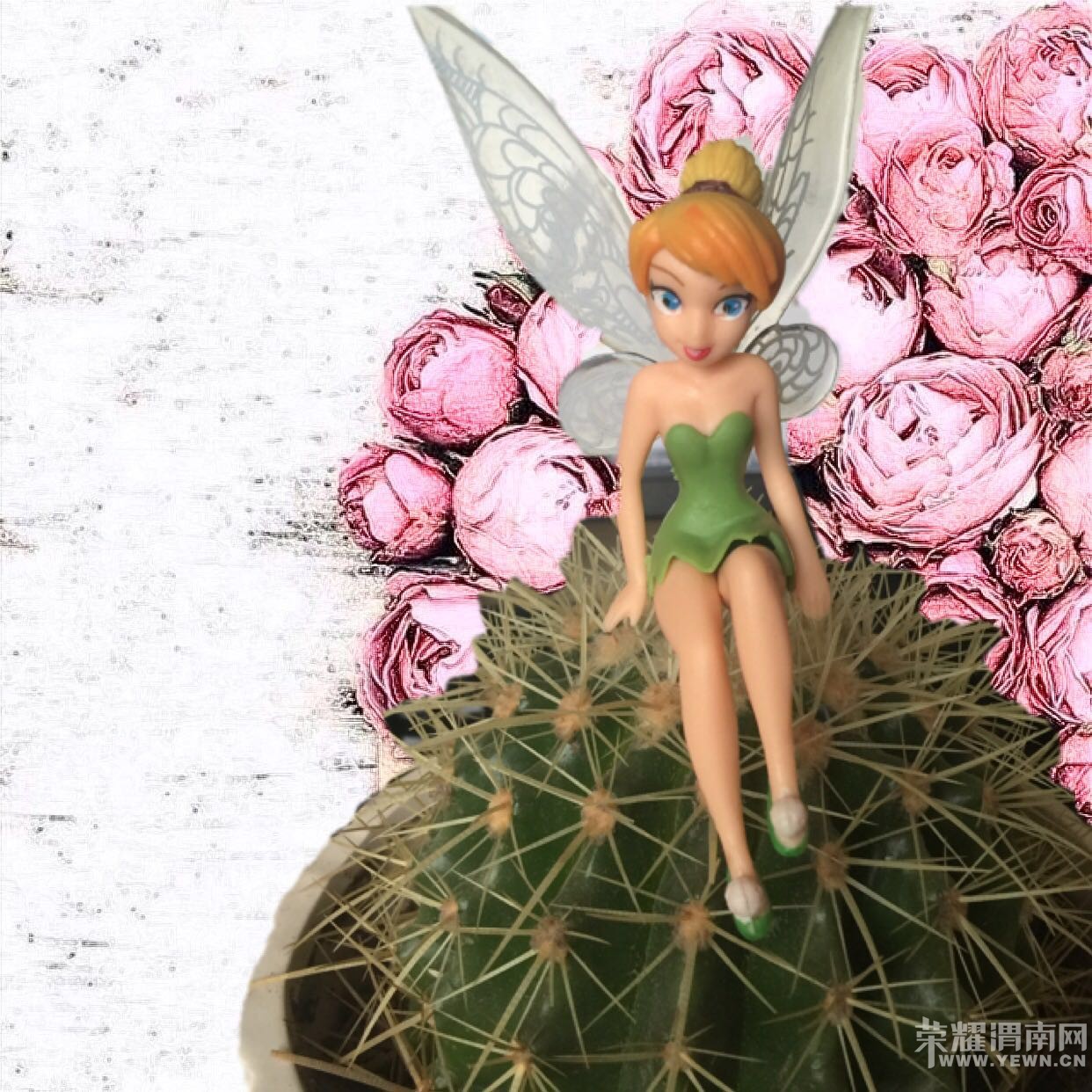 �²¿���������Щ��װ��������أ�