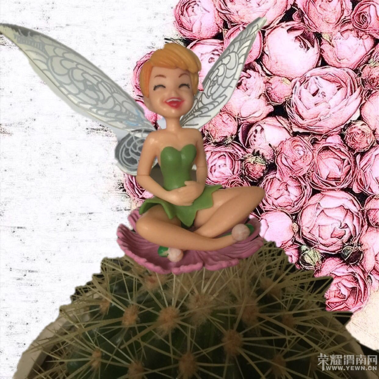 �²¿���������Щ��װ��������أ�