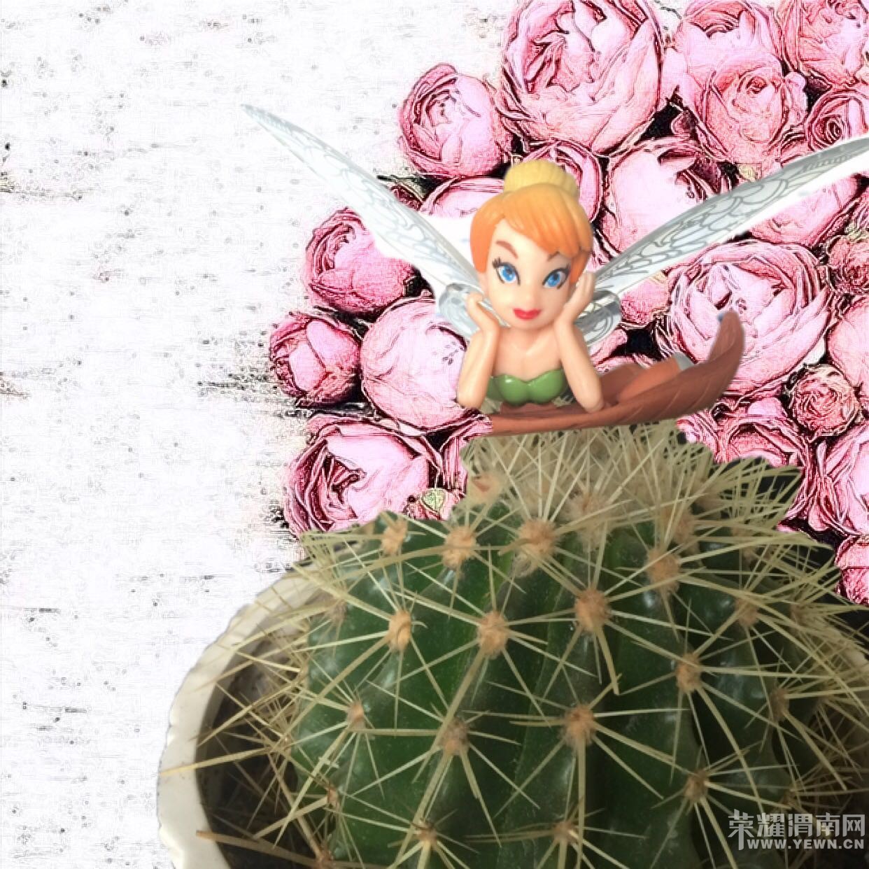 �²¿���������Щ��װ��������أ�