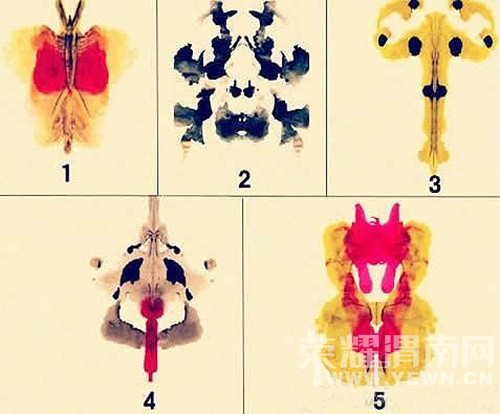 ��С����������Ϸ�ˡ�һ��ͼ��Ȼ�������ҵ����ģ���ʦ��Ȼ�Ǵ�ʦ��������ԣ��ҷ���