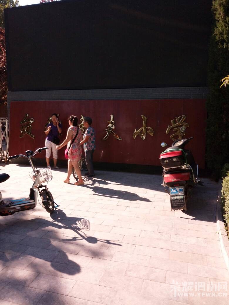 ���ڵ�������Сѧ���ﰡ��