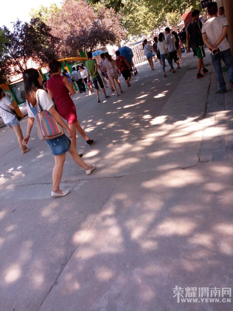 ���ڵ�������Сѧ���ﰡ��