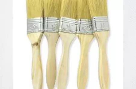 ���̼Ҳ����ı�������Ƚ���ǽ���г���è�壡