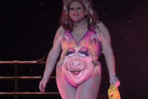 ���̼Ҳ����ı�������Ƚ���ǽ���г���è�壡