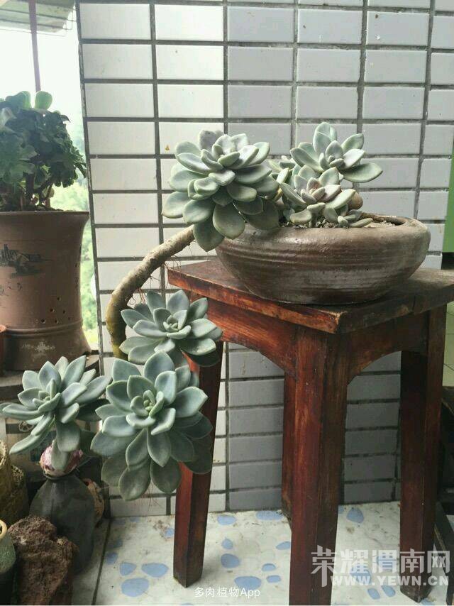 һرĻ͸˰ɣ