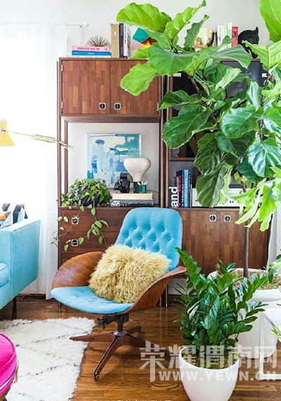 ��æ���£������զ�����Ҿ���ͦ�ÿ����ҽ�˵��˫����Ϲ��