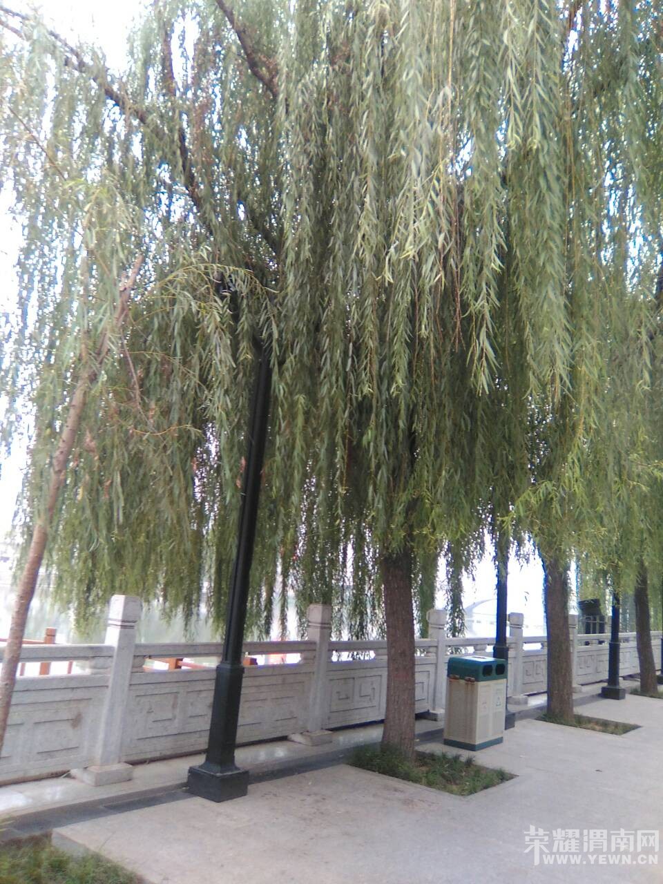 ��̬���������ˣ��Y�ӹ�԰�������������ࡣ