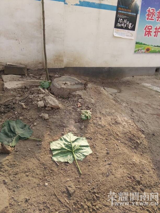 �ϳ��Լ�Ժ������·�ߣ�����....