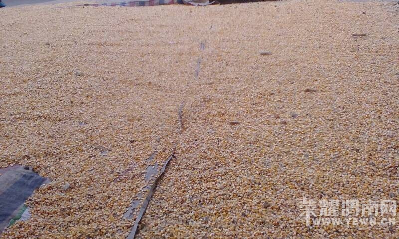 �����ȣ���������մ��ˣ�ϣ���������