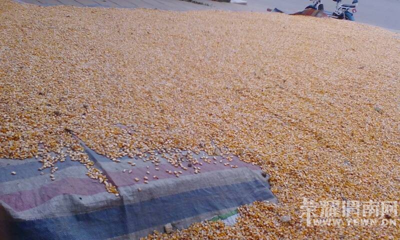 �����ȣ���������մ��ˣ�ϣ���������