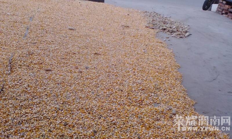 �����ȣ���������մ��ˣ�ϣ���������