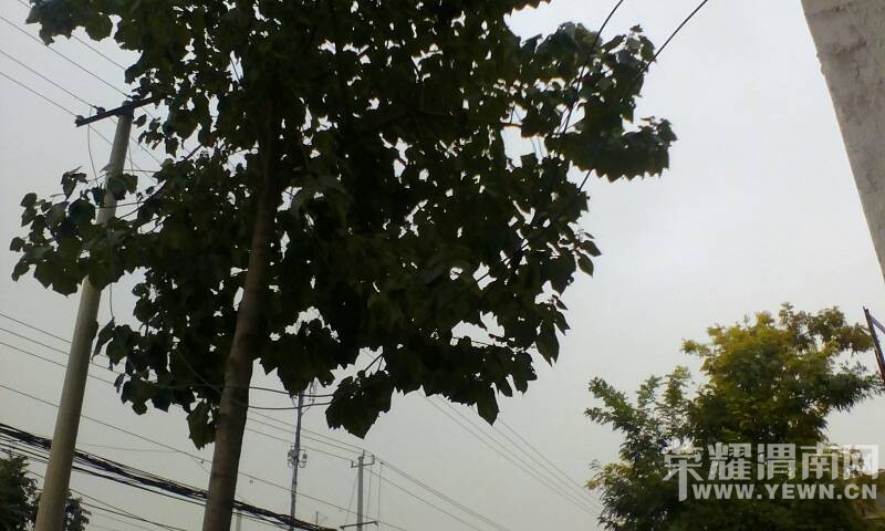 �����ȣ���������մ��ˣ�ϣ���������