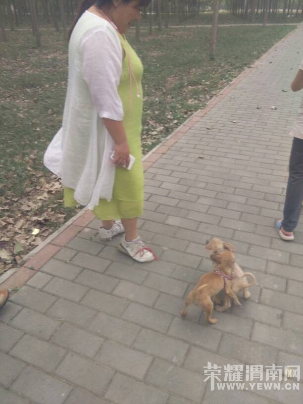 �˶������ҵ�Ьѽ����զ�ؼ�ѽ��